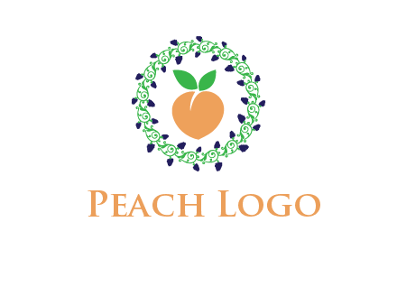 peach fruit ornament vector