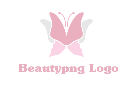 abstract butterfly logo