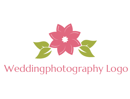 daisy flower and leaves logo